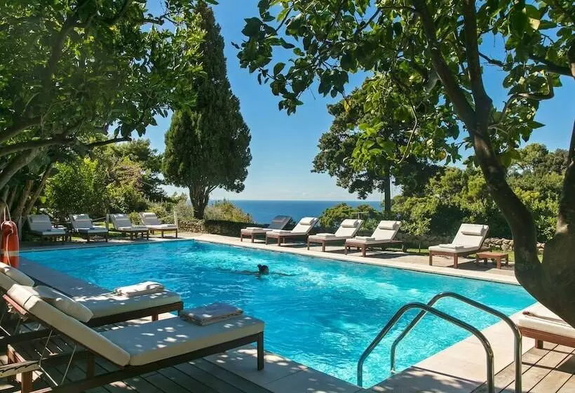 Fotos del hotel La Minerva:  8