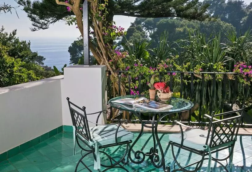 Fotos del hotel La Minerva:  5