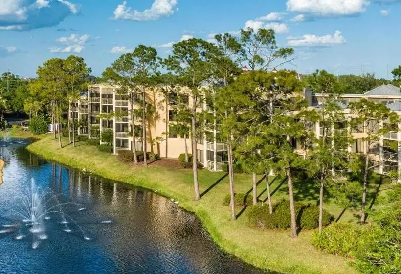 Fotos del hotel Marriott's Royal Palms:  23