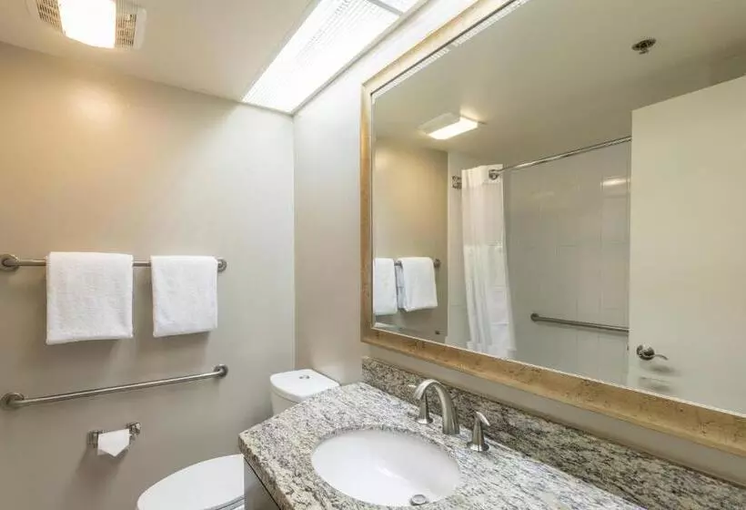 Fotos del hotel Marriott's Royal Palms:  22