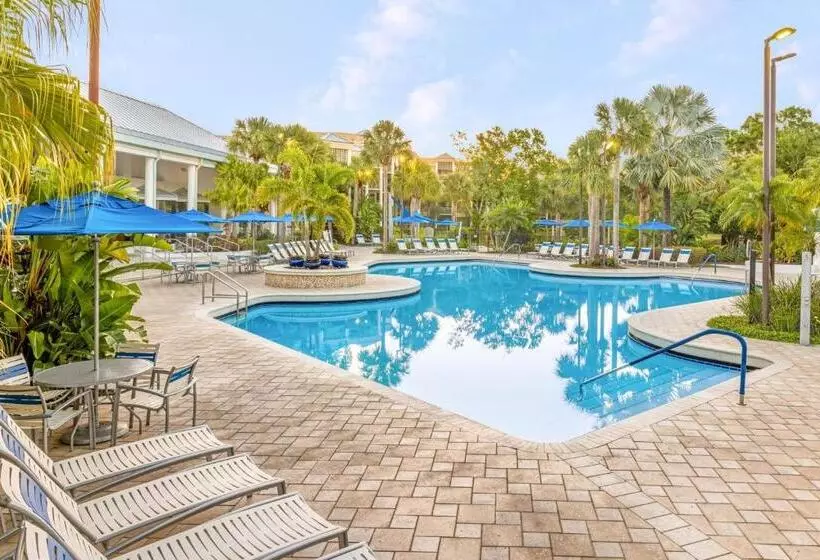 Fotos del hotel Marriott's Royal Palms:  19