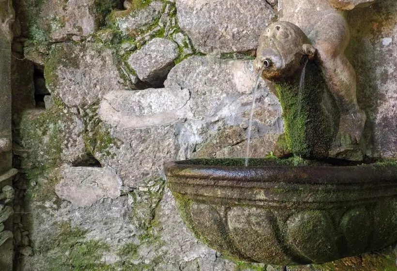 Fotos del hotel Moon & Sun Braga:  8