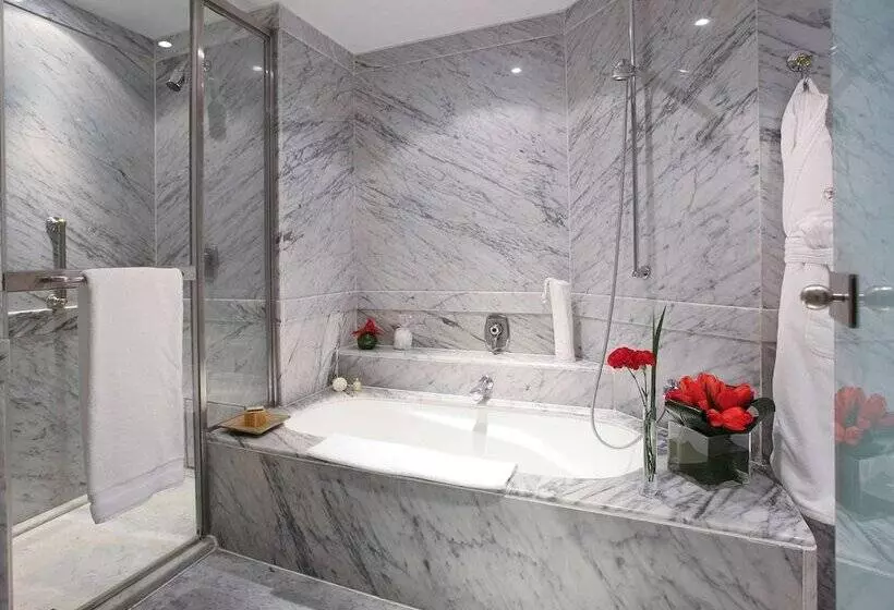 Fotos del hotel Sofitel Buenos Aires Recoleta:  8