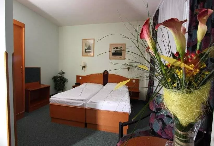 Fotos del hotel Central Hotel Prague:  11