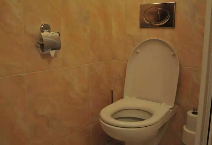 Fotos del hotel Pegas Brno:  12