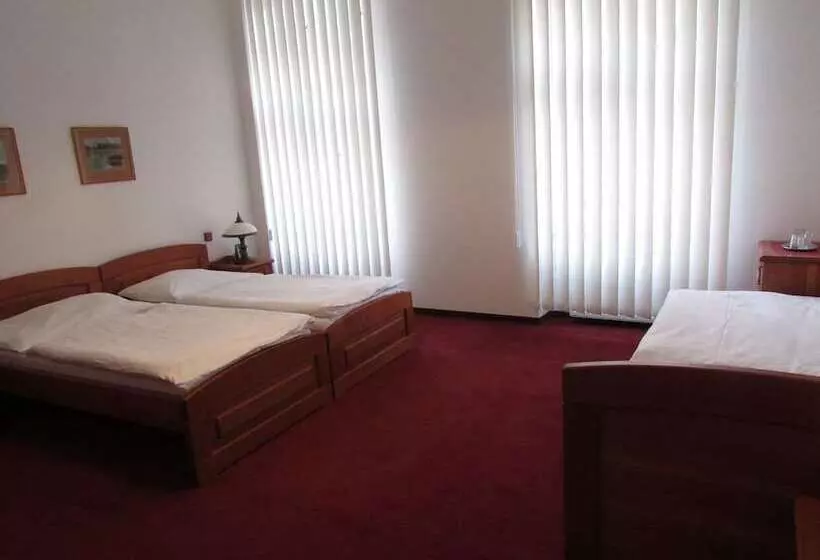 Fotos del hotel Pegas Brno:  21