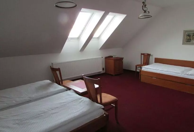 Fotos del hotel Pegas Brno:  16