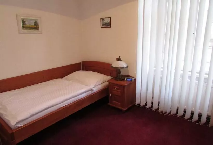 Fotos del hotel Pegas Brno:  9