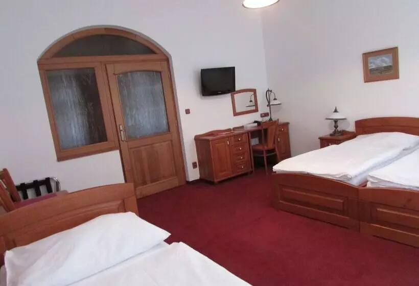 Fotos del hotel Pegas Brno:  18