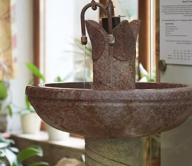 Fotos del hotel Orea Spa Hotel San Remo:  10