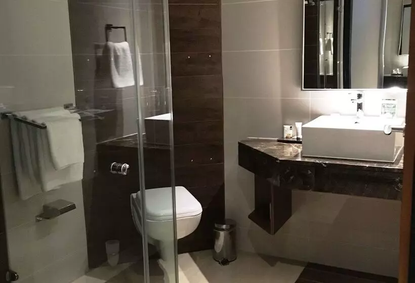 Fotos del hotel Premier Hotel Cape Town:  7