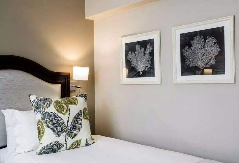 Fotos del hotel Premier Hotel Cape Town:  14