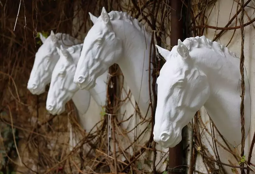 Fotos del hotel Three Crowns:  9