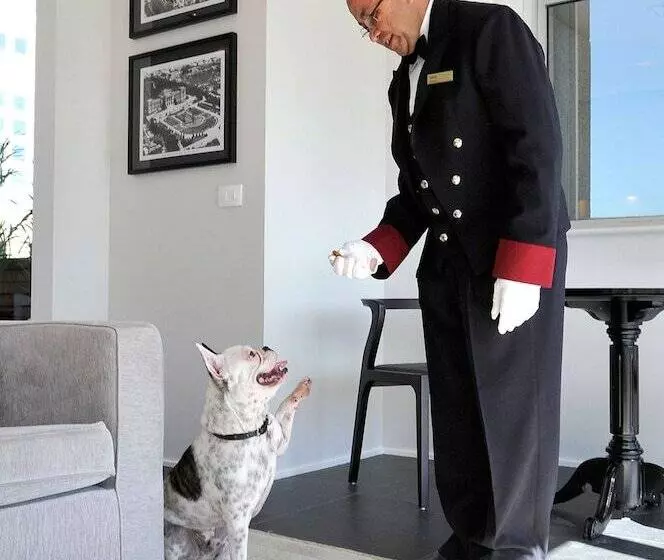 Fotos del hotel Sheraton São Paulo Wtc:  8