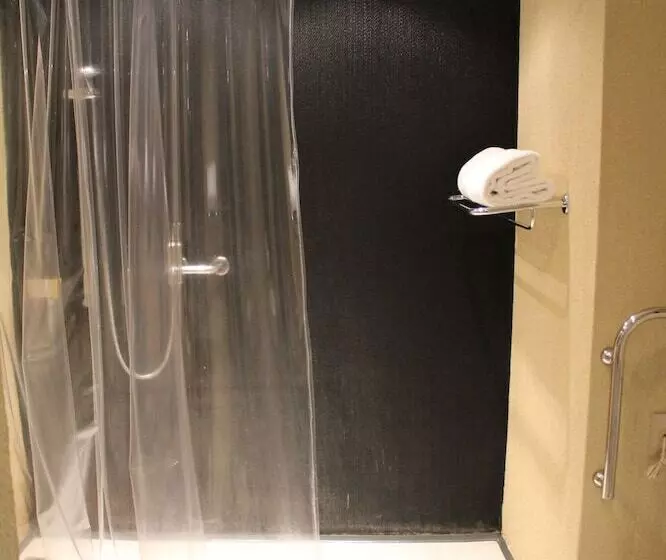 Fotos del hotel Sheraton São Paulo Wtc:  19