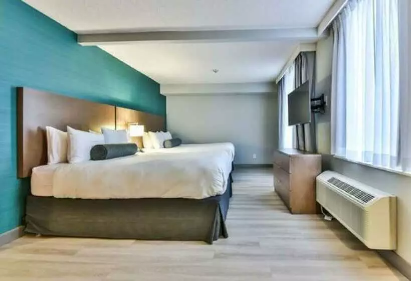 Fotos del hotel Radisson Suites Hotel Toronto Airport:  7