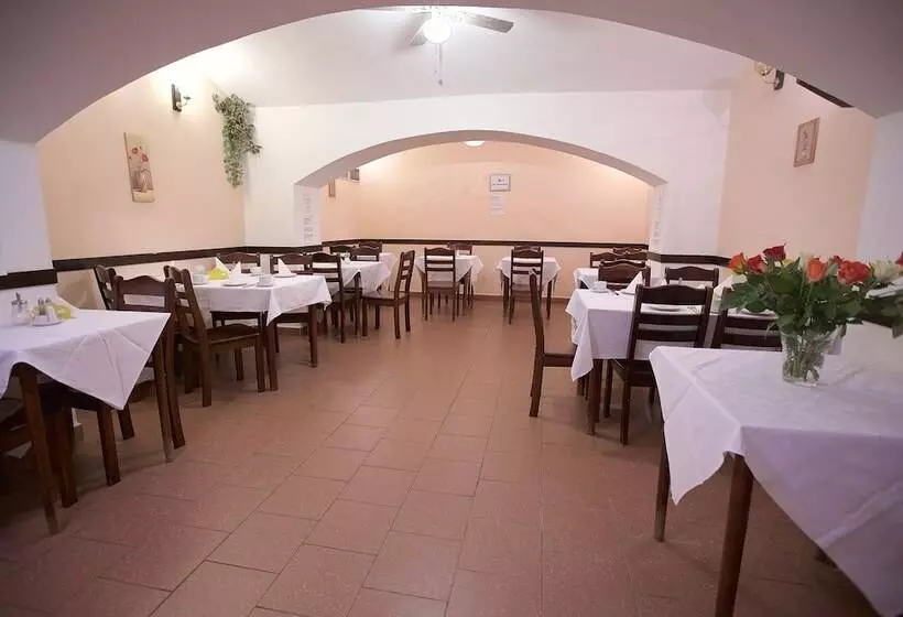 Fotos del hotel Olga:  9