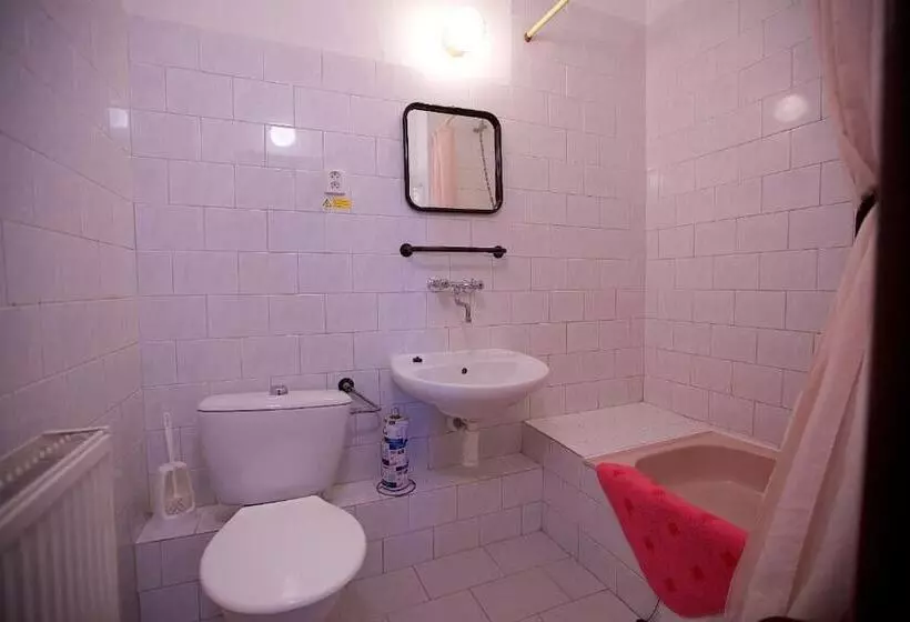 Fotos del hotel Olga:  14