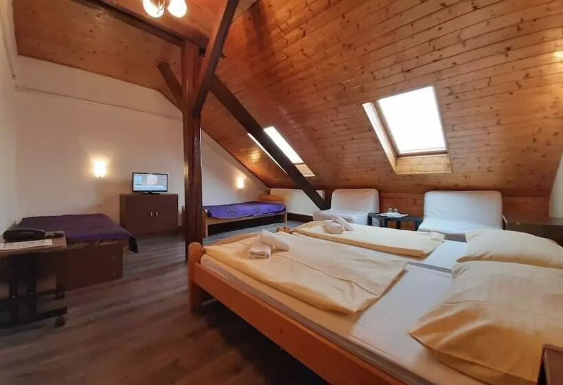 Fotos del hotel Olga:  24