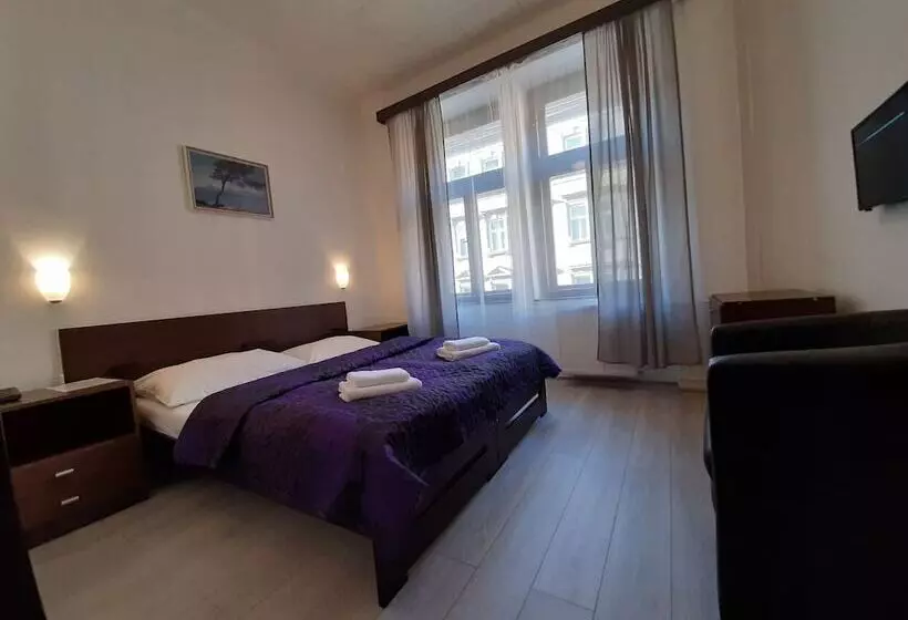 Fotos del hotel Olga:  23