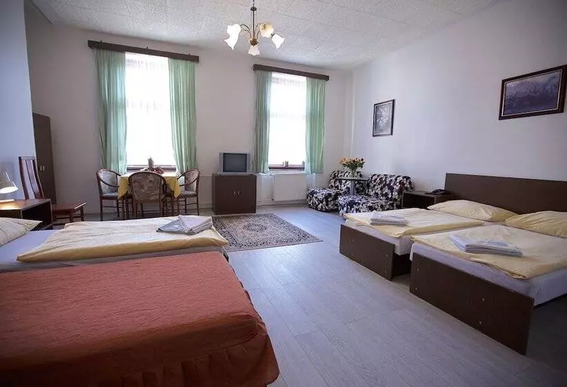 Fotos del hotel Olga:  20