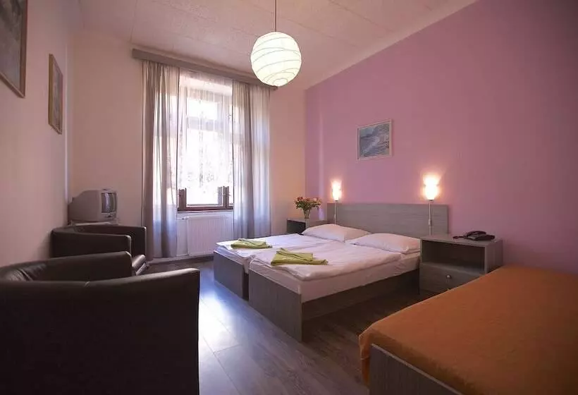 Fotos del hotel Olga:  8