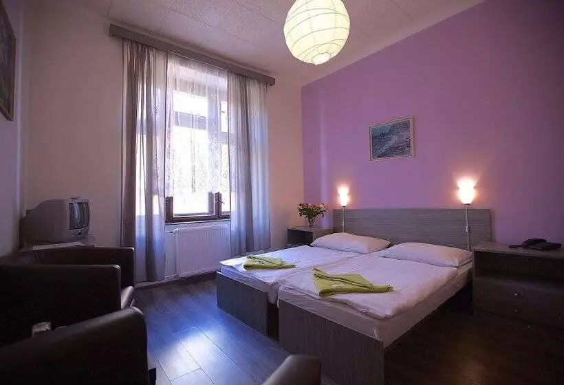 Fotos del hotel Olga:  2