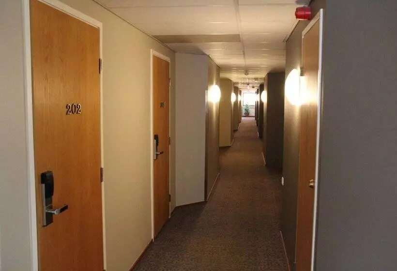 Fotos del hotel Hermica:  13