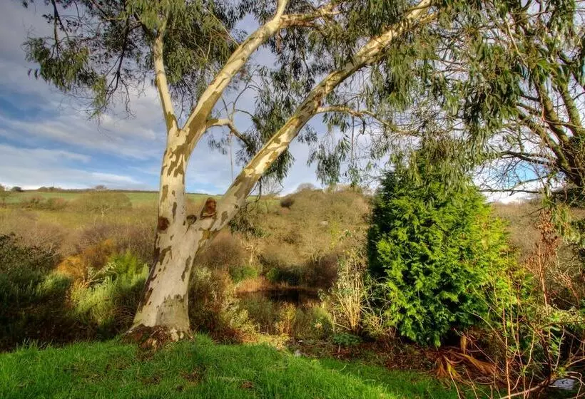 Fotos del hotel The Trengilly Wartha Inn:  25