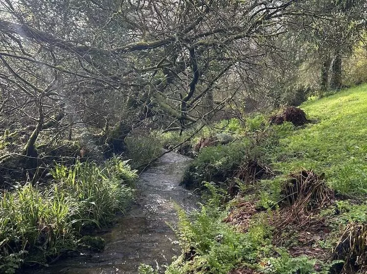 Fotos del hotel The Trengilly Wartha Inn:  23