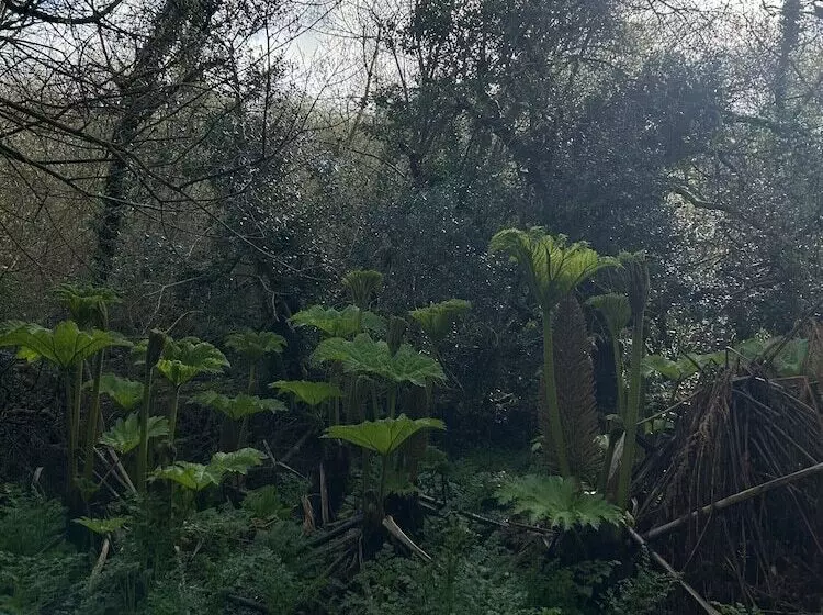 Fotos del hotel The Trengilly Wartha Inn:  15