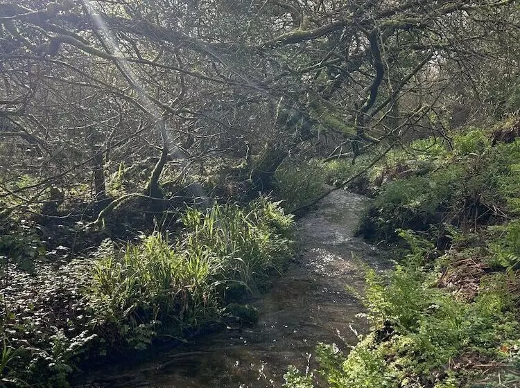 Fotos del hotel The Trengilly Wartha Inn:  10