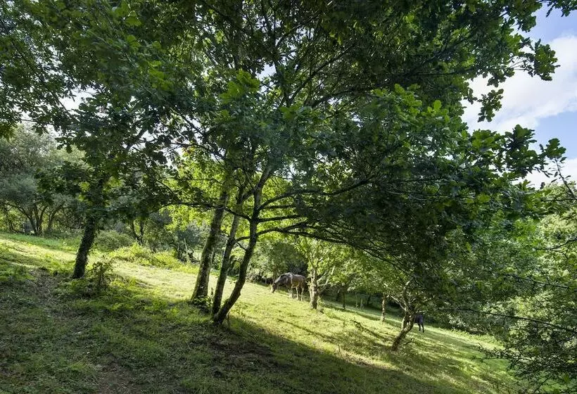 Fotos del hotel The Trengilly Wartha Inn:  6