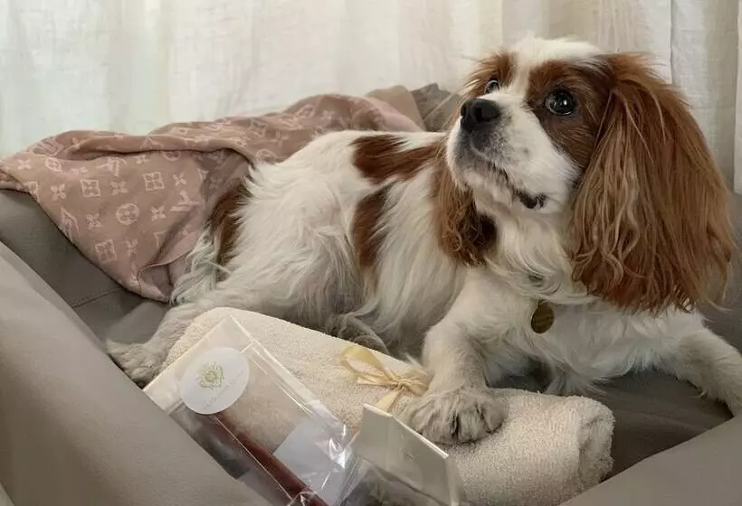 Fotos del hotel Ulfsunda Slott:  22