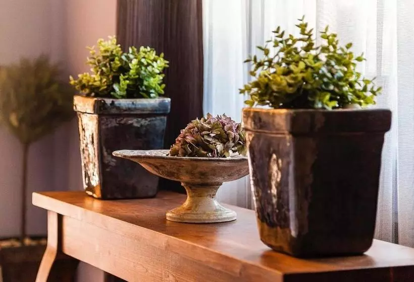 Fotos del hotel Villa Rosa Boutique:  9