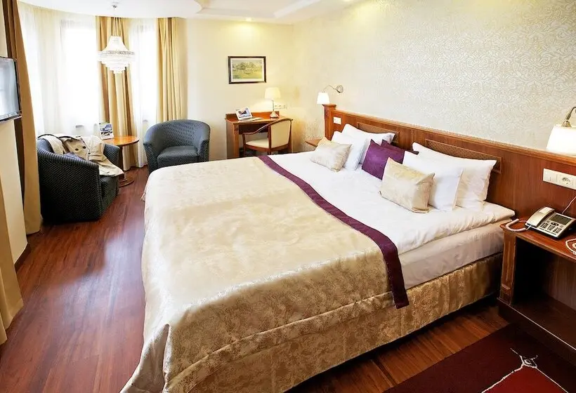 Fotos del hotel Gold Hotel Budapest:  10