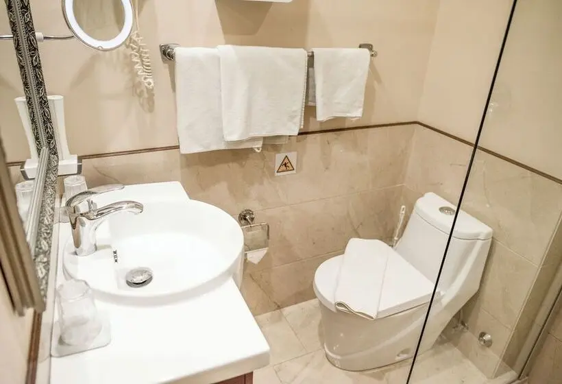 Fotos del hotel Gold Hotel Budapest:  14