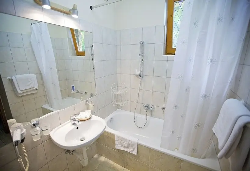 Fotos del hotel Gold Hotel Budapest:  25