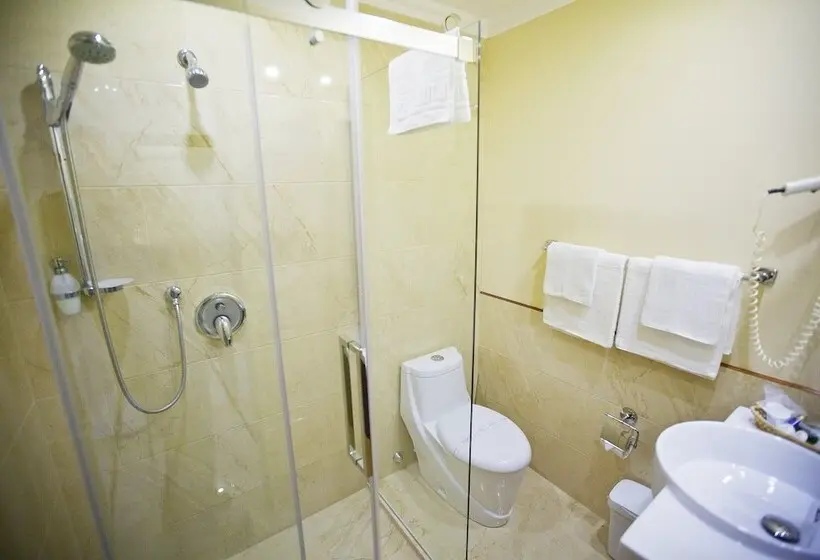 Fotos del hotel Gold Hotel Budapest:  33