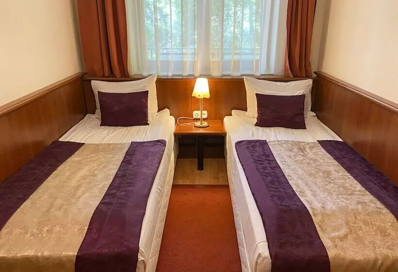 Fotos del hotel Gold Hotel Budapest:  42