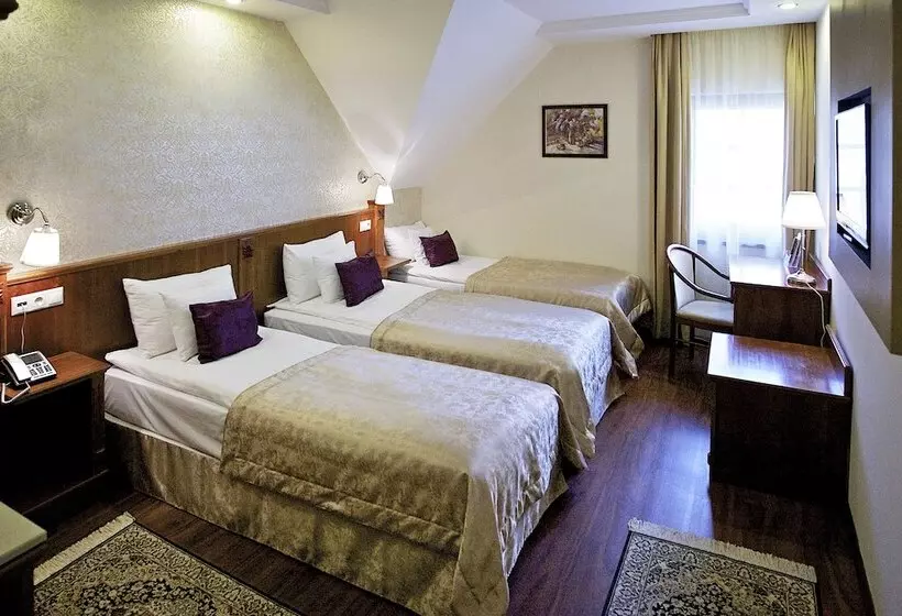 Fotos del hotel Gold Hotel Budapest:  45