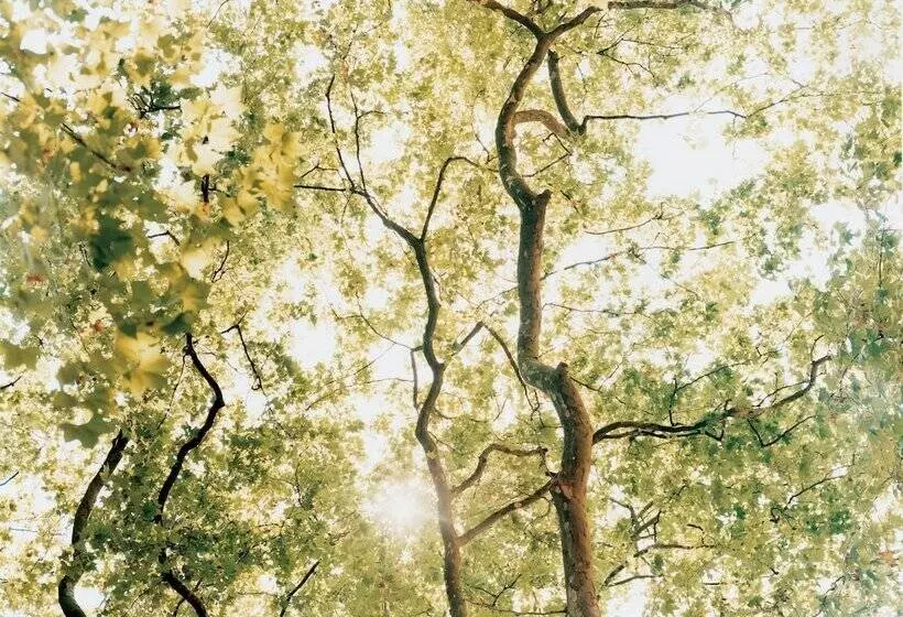 Fotos del hotel Como Metropolitan London:  7