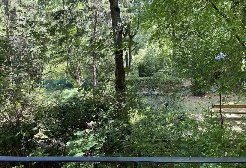 Fotos del hotel Gold Hotel Budapest:  14