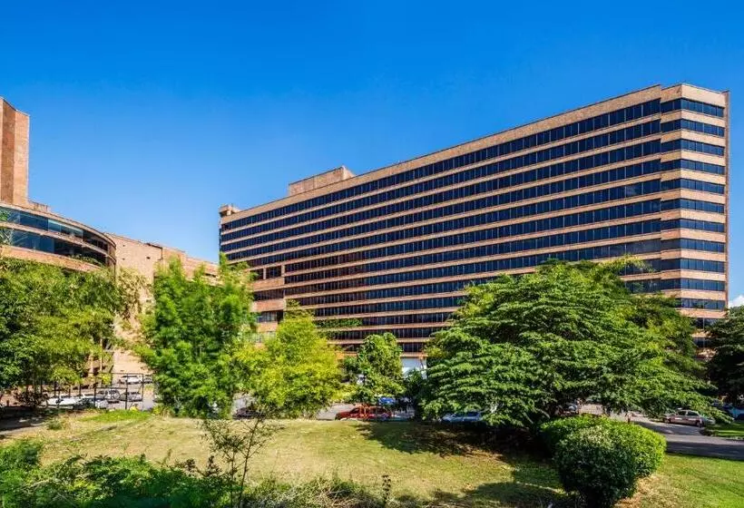 Lotus Pang Suan Kaew