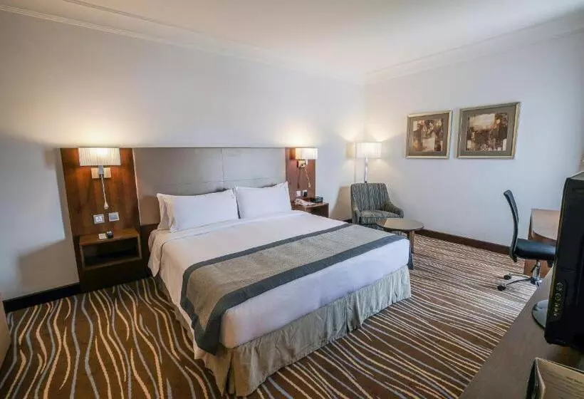 Fotos del hotel Holiday Inn Abu Dhabi Downtown, An Ihg:  9