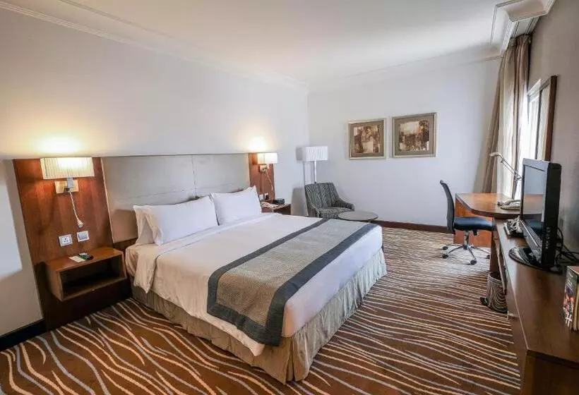 Fotos del hotel Holiday Inn Abu Dhabi Downtown, An Ihg:  17