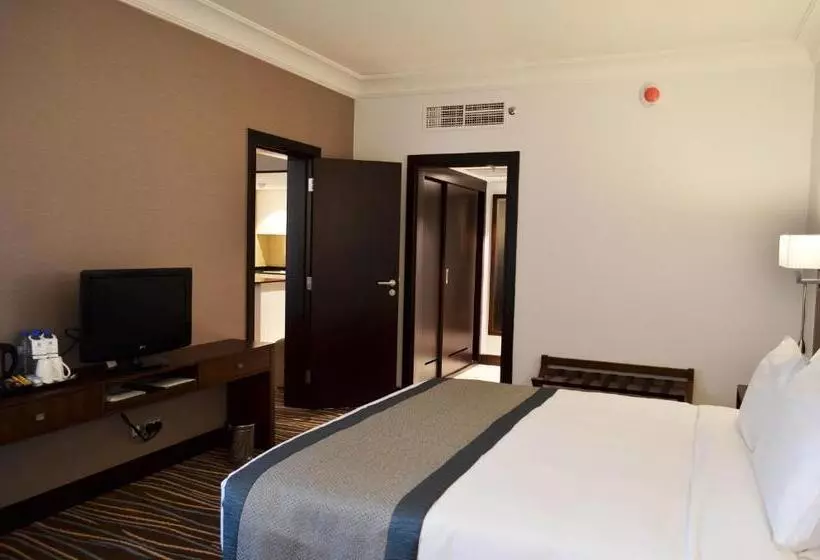 Fotos del hotel Holiday Inn Abu Dhabi Downtown, An Ihg:  16
