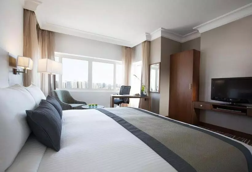 Fotos del hotel Holiday Inn Abu Dhabi Downtown, An Ihg:  20