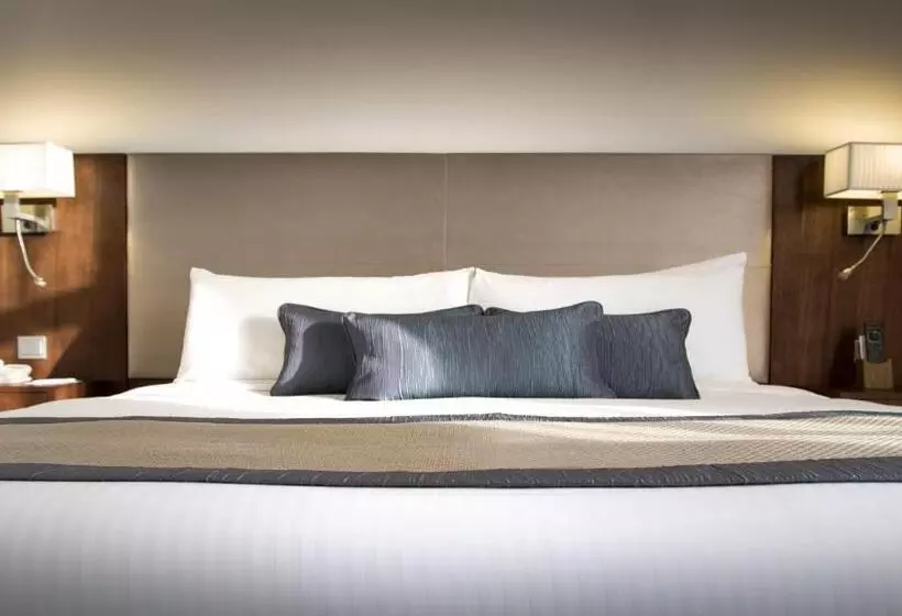 Fotos del hotel Holiday Inn Abu Dhabi Downtown, An Ihg:  18