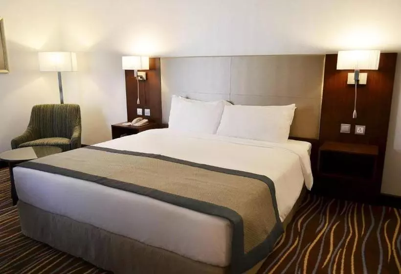 Holiday Inn Abu Dhabi Downtown, An Ihg